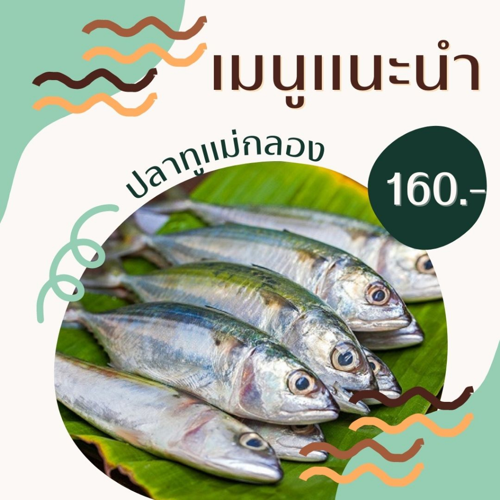 🐟 ปลาทูสด (แช่แข็ง) ขนาด 9-12 ตัว/ กก