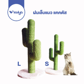 SARIYA ที่ฝนเล็บแมว (TR08) ที่ลับเล็บแมว คอนโดแมว แคคตัส  ของเล่นแมว Cat Cactus Tree