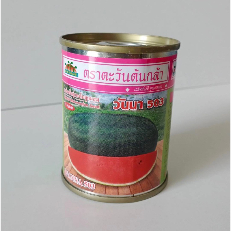 ของเข้าแล้วว!! เมล็ดแตงโมลูกผสม วันนา 503 ขนาด 40 กรัม[ตะวันต้นกล้า]