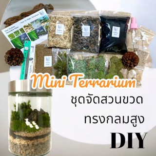 ชุดจัดสวนขวด สวนขวด Terrarium ขวดกลมพรีเมียม ไซค์ XL