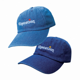 Vinecation Denim Cap