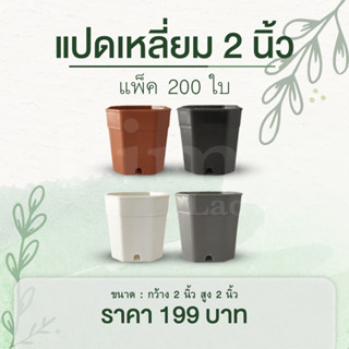 กระถางแคคตัส ทรงแปดเหลี่ยม 2 นิ้ว สีดำ สีขาว สีอิฐแดง (โปรโมชั่น)