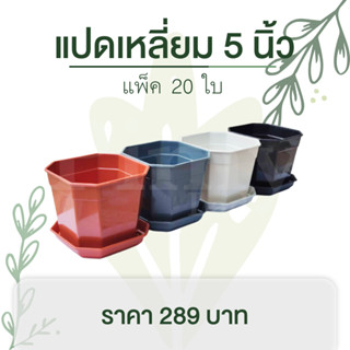 20 ใบ กระถางแคคตัส กระถางต้นไม้ กระถางพลาสติก ทรงแปดเหลี่ยม พร้อมจาน 5 นิ้ว