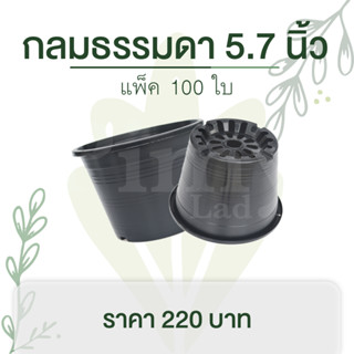 100 ใบ กระถางต้นไม้ กระถางพลาสติก กลมธรรมดา 5.7 นิ้ว สีดำ สีขาว