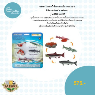 โมเดลวิวัฒนการปลาเซลมอนLife cycle of a salmon รุ่น SFR 100267