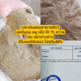 ปลาป่นผสมอาหารสัตว์ลดต้นทุนหมู เป็ดไก่ กบ วัวควาย