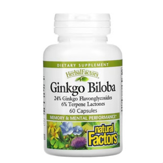 Ginkgo Biloba  ใบแปะก๊วยสกัด บำรุงสมอง