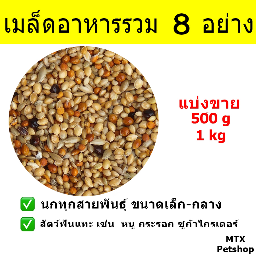 เมล็ดอาหารรวมธัญพืช 8 อย่าง // สำหรับนก และ สัตว์ฟันแทะ (แบ่งขาย)