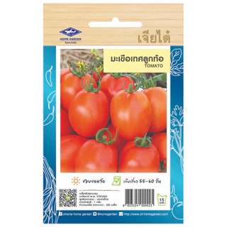 เจียไต๋ (ซื้อ10แถม2) เมล็ดพันธุ์ มะเขือเทศลูกท้อ ขนาด1กรัม ประมาณ280เมล็ด Tomato มะเขือเทศ เมล็ดพันธุ์พืช เมล็ดผัก ปลูกผ