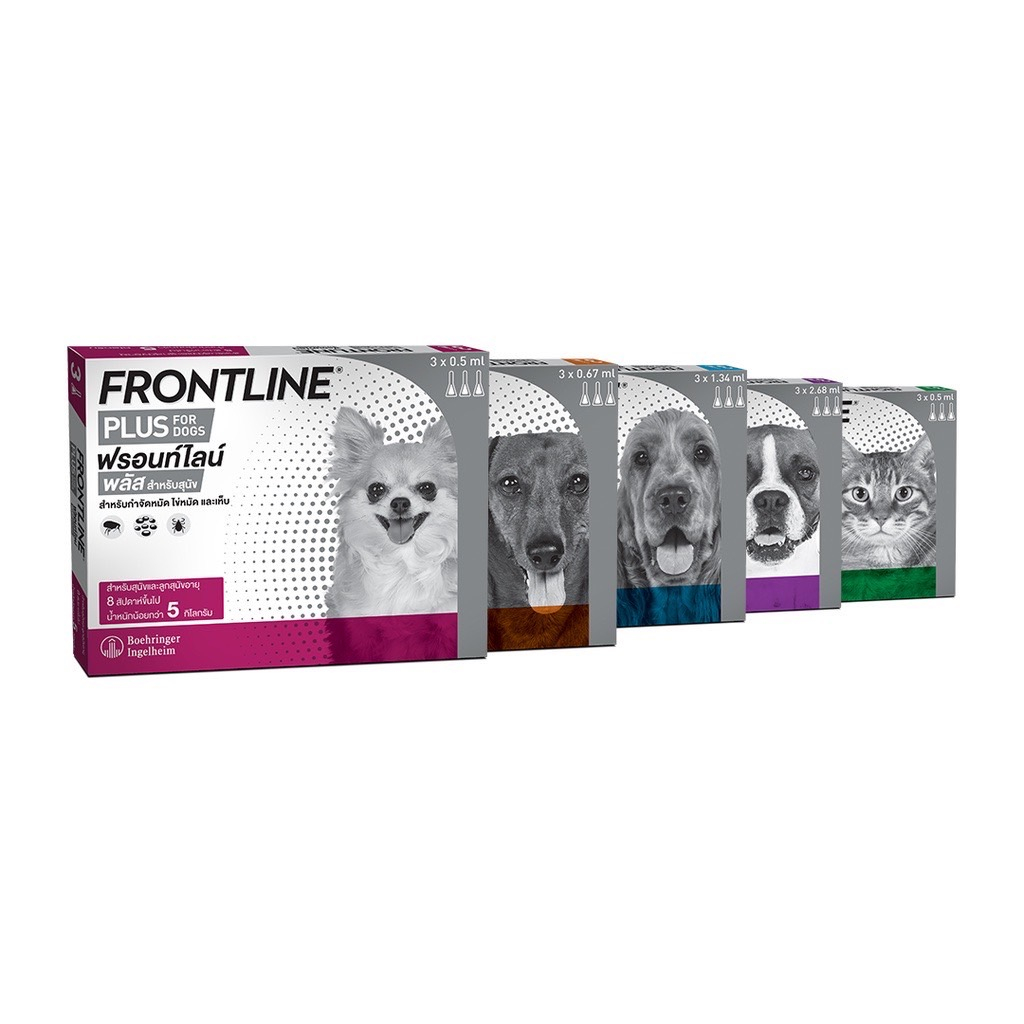 FRONTLINE PLUS DOG &CAT ฟร้อนไลน์พลัส