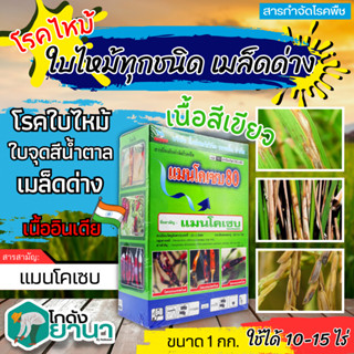 🌾 แมนโคเซบ80 (แมนโคเซบ80%) ขนาด 1กิโลกรัม ป้องกันเชื้อรา โรคเมล็ดด่าง ใบไหม้ กุ้งแห้งในพริก