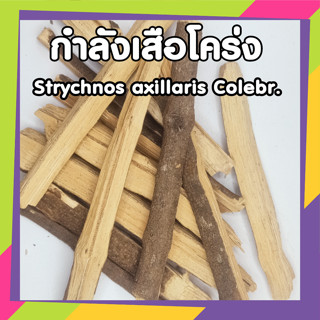 กำลังเสือโคร่ง สมุนไพรดองยา สมุนไพรแผนโบราณ  Strychnos axillaris Colebr. น้ำหนัก100กรัม(G)