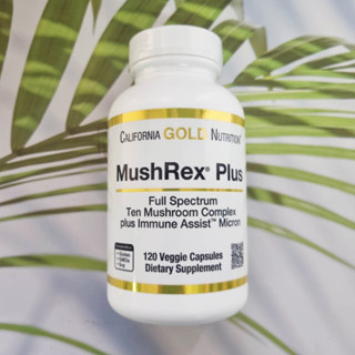 สารสกัดจากเห็ด 10 ชนิด MushRex Plus Full-Spectrum Mushroom Complex Certified Organic, Immune Assist™ Micron 120Plantcaps