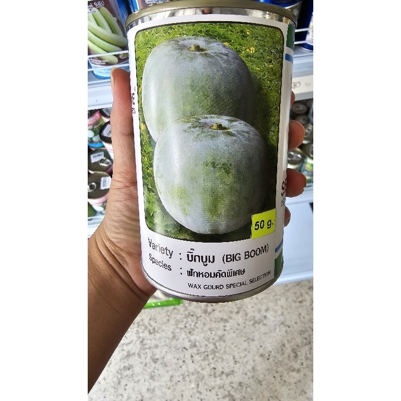 เมล็ดฟักหอม บิ๊กบูม ซีดไลน์ ขนาด 50 กรัม ฟักหอม Big boom เมล็ดคัดพิเศษ seedline