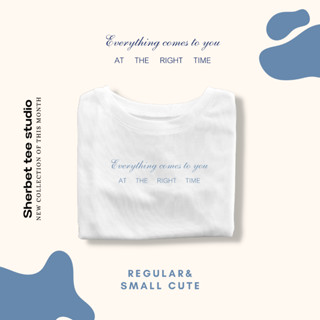 เสื้อยืดลาย everything comes to you | sherbet.teeshop