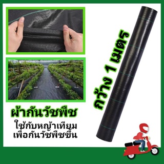 📢ราคาถูก📢ผ้าคลุมวัชพืช ผ้ากันกันวัชพืช ใช้สำหรับปูหญ้าเทียม