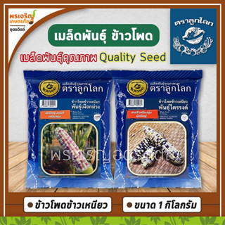 เมล็ดพันธุ์ ข้าวโพดข้าวเหนียวสองสี (1 กิโลกรัม) ข้าวโพดเผือกม่วง ข้าวโพดสามสีไตรรงค์ ข้าวโพดขาวม่วง เมล็ดพันธุ์ตราลูกโลก