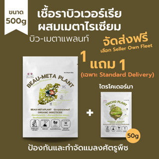 ส่งฟรี บิวเวอร์เรีย ผสม เมธาไรเซียม ซื้อ1แถม1 (500g) กำจัดแมลงศัตรูพืชทุกชนิด เพาะเชื้อจากห้องLAB100% ออร์แกนิค ปลอดภัย