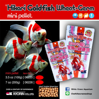 Hikari Wheat Germ อาหารปลาทอง สูตรผสมจมูกข้าวสาลี ย่อยง่าย ผิวขาวกระจ่างใส น้ำไม่ขุ่น นำเข้าจากญี่ปุ่น 100g. /  200g. (M