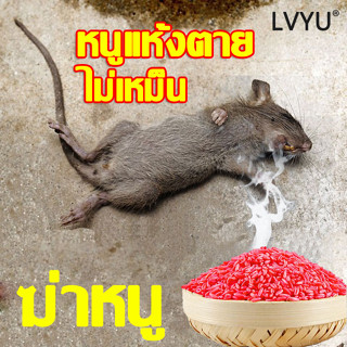 🐁กำจัดหนู 100%🐁 ยาเบื่อหนู ยาเบื่อหนู แห้ง 500กรัม ปลอดหนูตลอดทั้งปี ยาฆ่าหนู เหยื่อกำจัดหนู ยากำจัดหนูบ้าน กำจัดหนูในบ้