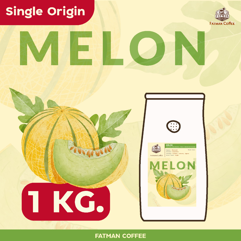 ราคาส่ง 1-3 Kg. เมล็ดกาแฟ น่าน Melon Thailand (Exotic coffee)