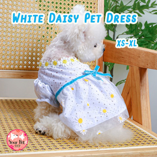 เสื้อสีขาวลายดอกเดซี่ สดใส  เสื้อหมา เดรสแมว ชุดกระโปรงสุนัข สัตว์เลี้ยง Daisy Pet Dress