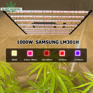 ไฟปลูกพืช LED 800W 1000W Samsung LM301H ไดรเวอร์ Meanwell ปรับแสง ไฟเร่งการเจริญเติบโตของพืช