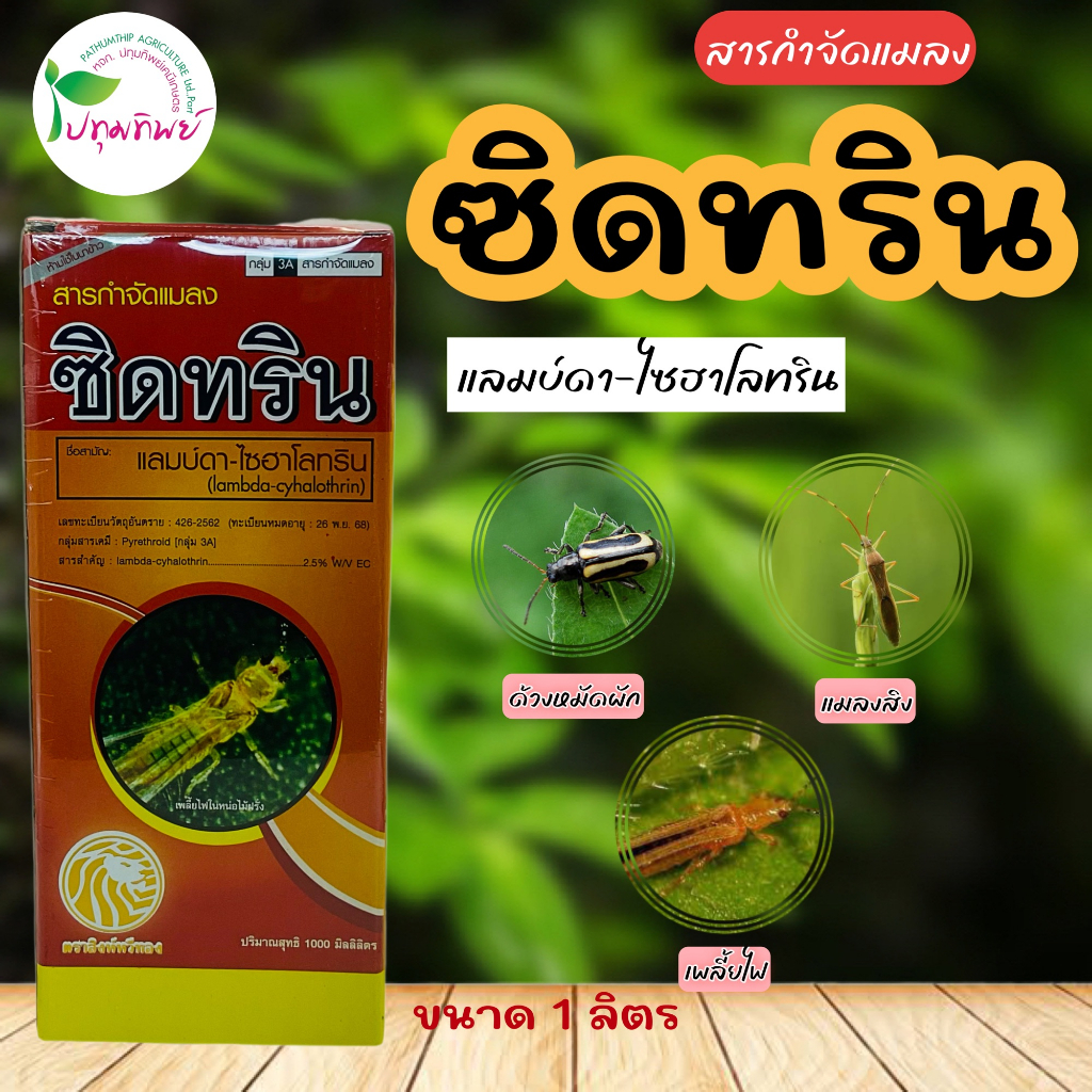 ซิดทริน แลมบ์ดา- ไซฮาโลทริน สารกำจัดแมลง เช่น แมลงสิง ด้วงหมัดผัก เพลี้ยไฟ