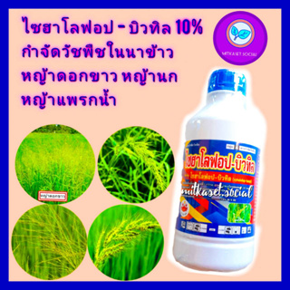 ไซฮาโลฟอป 10% ยาฆ่าหญ้า ยาฆ่าหญ้าในนาข้าว ไซฮาโลฟอป 1 ลิตร ใช้กำจัดวัชพืชในนาข้าว เช่น หญ้าแพรก  หญ้าดอกขาว หญ้าข้าวนก