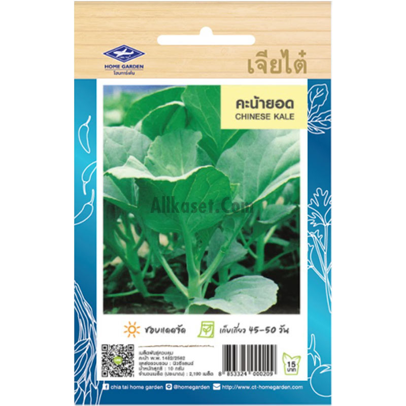 เมล็ดพันธ์ คะน้ายอด เจียไต๋