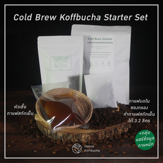 ชุดทำ คอมบูชากาแฟสกัดเย็น DIY พร้อมกาแฟสด Coffee kombucha starter scoby | Koffbucha scoby