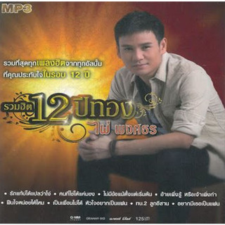 [ CD-MP3 , USB-MP3 ] รวมฮิต 12 ปีทอง ไผ่ พงศธร