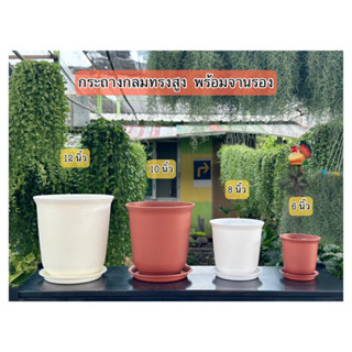 ‼️ถูก  และหนา‼️ กระถางต้นไม้ รุ่นฟูจิ ทรงสูง พร้อมจานรอง  กระถางกลมทรงสูง  กระถางพลาสติก  กระถางมินิมอล ขนาด 6 - 12 นิ้ว
