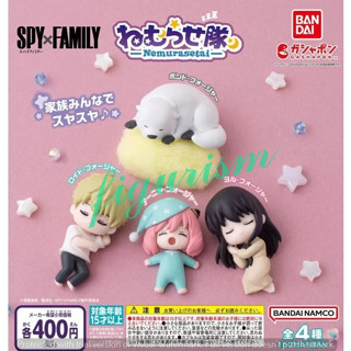 🔥 SPY X FAMILY Nemurasetai สปาย × แฟมิลี Gashapon กาชาปอง 🔥 ของแท้ ญี่ปุ่น💯