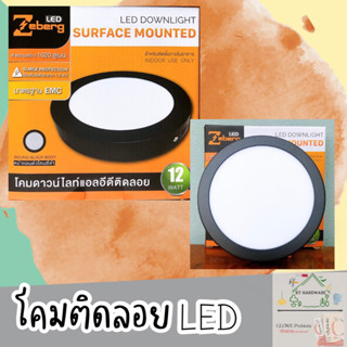 🔥พร้อมส่ง🔥💡โคมลอยดาวน์ไลท์แอลอีดี LED DOWNLIGHT ZEBERG 💡[ สีดำ ⚫️ ]