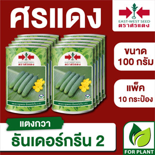 ขายส่ง เมล็ดพันธุ์ ศรแดง BIG แตงกวา ธันเดอร์กรีน2  ขนาด 100 กรัม (100 กรัม X 10 กระป๋อง)