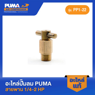 PUMA น็อตใต้แท็งค์  PUMA 1/4" 1/4-2 HP 2 สูบ อะไหล่ปั๊มลมสายพาน รุ่น PP-1,PP-2,PP-2P,PP-21,PP-22