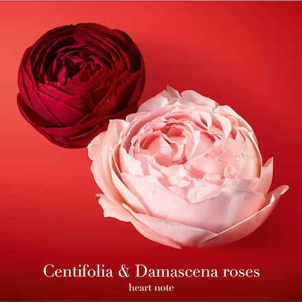 หัวเชื้อน้ำหอมแท้ อา มานี่ เทียบกลิ่น สิ Passion สีแดง ปริมาณ 30มล. - รูปที่ 3