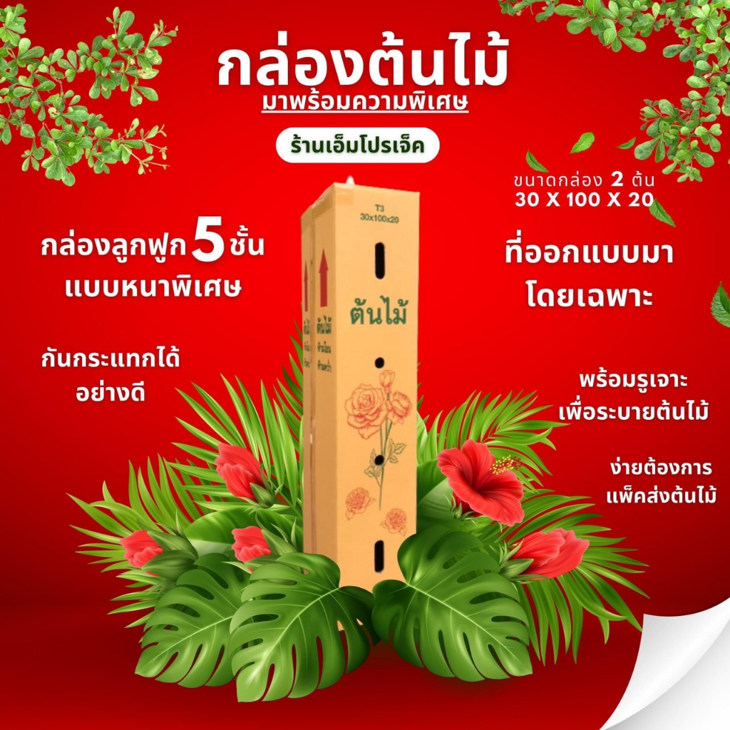 กล่องต้นไม้5ชั้น ขนาด30*100*20 (1แพ็คมี10ใบ)