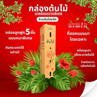 กล่องต้นไม้5ชั้น ขนาด30*100*20 (1แพ็คมี10ใบ)