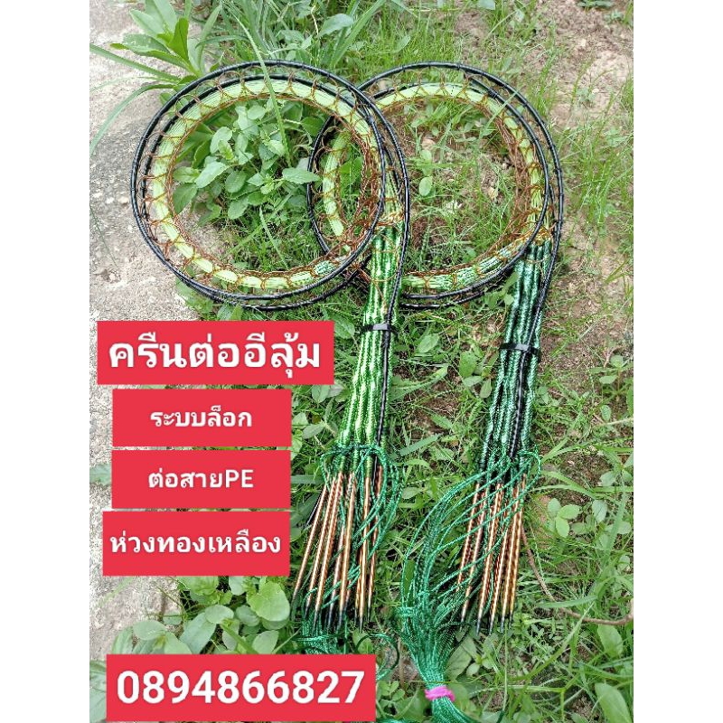 ครืนต่อนกอีลุ้มสีเขียว ครืนหลักเดียว15หลัก