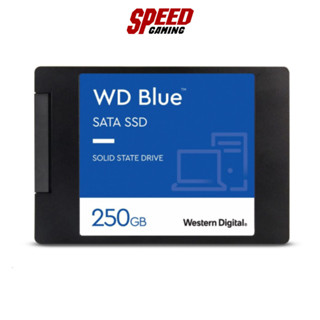 WD BLUE 2.5 SA510 SSD (เอสเอสดี) 250GB SATA 3 (6GB/S) (WDS250G3B0A) / By Speed Gaming