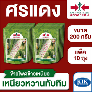 ขายส่ง เมล็ดพันธุ์ ศรแดง BIG ข้าวโพดข้าวเหนียว เหนียวหวานทับทิม ขนาด 200 กรัม (บรรจุ 200 กรัม x 10 ถุง)