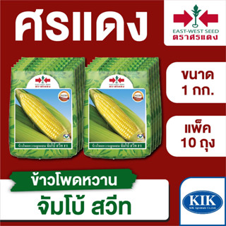 ขายส่ง เมล็ดพันธุ์ ศรแดง BIG ข้าวโพดหวาน จัมโบ้สวีท ขนาด 1 กิโลกรัม (1 กก. X 10 ถุง)