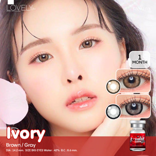 (ลด 70%) ✨คอนแทคเลนส์ Lovely lens : Ivory brown / gray✨ ขนาดบิ๊กอาย