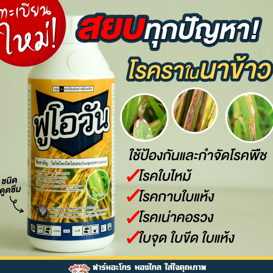 ฟูโอวัน ป้องกันปัญหาโรคราในนาข้าว ใบจุด ใบขีด ใบไหม้