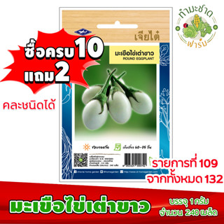 (ซื้อ10แถม2) เมล็ดพันธุ์ มะเขือ ไข่เต่า ขาว Round eggplant ประมาณ 240เมล็ด เจียไต๋ เมล็ดพันธุ์พืช เมล็ดพันธุ์ผัก