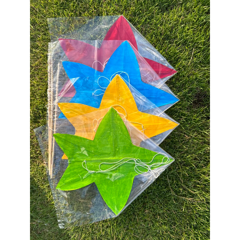 ว่าวจุฬาหลากสี ขนาด 25x25 cm จัดส่ง 4 ตัว คละสี - รูปที่ 6