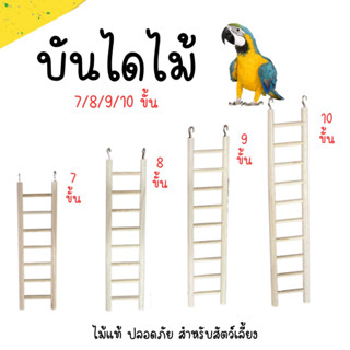 บันไดไม้ 7/8/9/10 ชั้น ขั้นไต่ ที่เกาะ สำหรับนก กระรอก ชูการ์ ไม้ธรรมชาติ ไม้ธรรมชาติ ปลอดภัยต่อสัตว์เลี้ยง ตกแต่งกรง