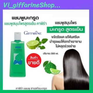 แชมพู ยาสระผม สูตรเย็น คาฟิร่า กิฟฟารีน Kaffira Shampoo Giffarine